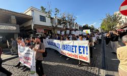 Diyarbakır'da sağlıklı yaşam yürüyüşü düzenlendi