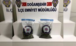 Doğanşehir'de Narkotik Operasyonu: 1 kişi tutuklandı