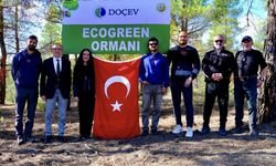 Ecogreen Enerji, Denizli’de 2 bin fidanlık orman oluşturdu