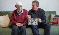 Asırlık çınarlar Cumhuriyet'e şahitlik ediyor