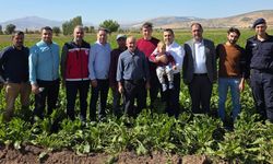 Kaymakam Algın, şeker pancarı hasadına katıldı