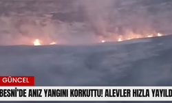 Besni’de anız yangını korkuttu, alevler hızla yayıldı