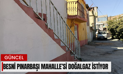 Besni Pınarbaşı Mahalle’si Doğalgaz İstiyor