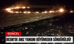 Besni'de Anız Yangını Büyümeden Söndürüldü!