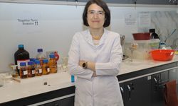 Nilüfer Çayı'ndaki tekstil kaynaklı kirliliğe organik çözüm