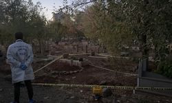 Şanlıurfa'da mezarlıkta bebek cesedi bulundu