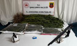 Şanlıurfa'da uyuşturucu operasyonlarında 4 şüpheli yakalandı