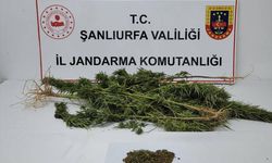 Şanlıurfa'da madde operasyonunda 4 şüpheli yakalandı