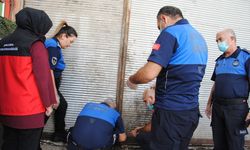 Şanlıurfa'da yaklaşık 1 ton bozulmuş et ele geçirildi