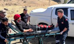 Şırnak'ta attan düşen kadın yaralandı