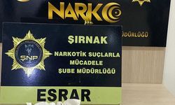 Şırnak’ta kaçakçılık operasyonunda 4 şüpheli tutuklandı