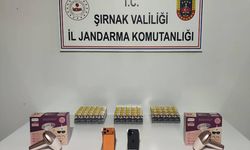 Şırnak’ta 87 şüpheliye operasyonla işlem yapıldı