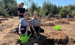 Yeniköy Kemerköy Enerji 300 zeytin fidanı dikti