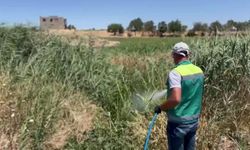 Başkan Tutdere; "Halk Sağlığı Bizim Önceliğimiz"