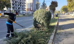 Adıyaman Belediyesi'nden kış öncesi ağaç budama ve bakım çalışması - Videolu Haber