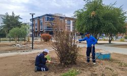 Adıyaman Belediyesi parkları kışa hazırlıyor