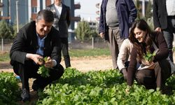 Adıyaman Belediyesi İlk Hasadı Ücretsiz Dağıttı