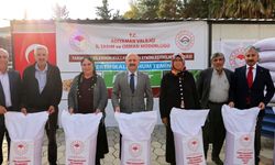 Adıyaman’da 666,5 Ton Sertifikalı Nohut Tohumu