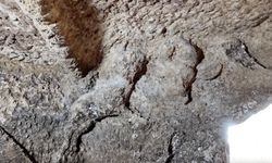 Adıyaman'daki Tharsa Antik Kenti'nde mezar bulundu