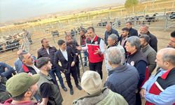 Batman'da hayvan pazarı ve kesimhane denetlendi