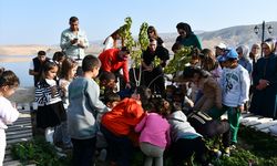 Batman'da öğrenciler Hasankeyf'te tarihi mekanları gezdi, Ilısu Baraj Gölü'nde tekne turu yaptı