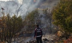Besni Akpınar Köyü'nde orman yangını önlendi