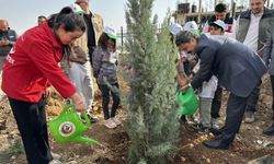 Besni’de Geleceğe Nefes İçin Fidan Dikildi