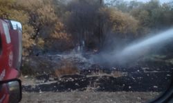 Besni'de Kesecik Köyü'ndeki yangın kontrol altına alındı