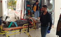 Besni'de otomobil şarampole devrildi: 5 yaralı - Videolu Haber