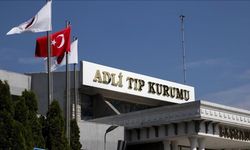 Böcek Ailesi'nin Ölüm nedeni Böcek İlacı