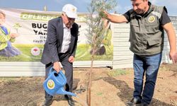 Çermik'te fidanlar toprakla buluşturuldu