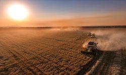 Çiftçilere 712 Milyon Liralık Destek Bugün Hesaplarda!