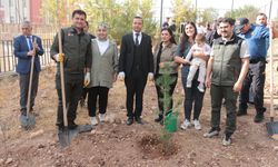 Cizre'de Milli Ağaçlandırma Günü kapsamında fidan dikildi