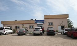 Diyarbakır'da 'can dostlar'a uzmanlardan ağız ve diş tedavisi hizmeti