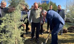 Diyarbakır'da 'Dünya Prematüre Günü' etkinliği yapıldı