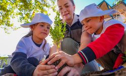 Diyarbakır'da Geleceğe Nefes Projesi Uygulanıyor
