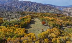Sonbahar renkleri dronla görüntülendi
