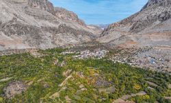Diyarbakırlı kadınlar nar ekşisi mesaisinde