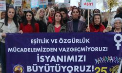 Eğitim-Sen Adıyaman İl Kadın Platformu: 'Kadın cinayetleri politiktir, hesabını biz soracağız' - Videolu Haber