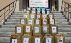 Hakkâri ve Ağrı’da Zehir Tacirlerine Operasyon