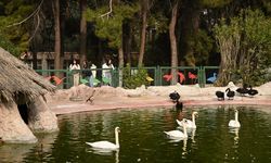 Doğal Yaşam Parkı, ara tatilde 325 bin kişiyi ağırladı