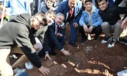 Gaziantep'te Gazze'ye destek için 120 fidan dikildi