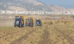 Gaziantep'te yerfıstığı hasadı başladı