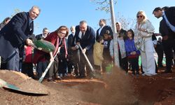 Gaziantep'te 'Yeşil Antep' projesiyle 120 ağaç dikildi