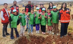 Gölbaşılı Çevreciler Belören’de Fidan Dikti