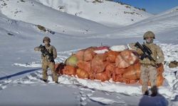 Hakkari ve Ağrı'da uyuşturucu operasyonunda 1 şüpheli gözaltına alındı - Videolu Haber
