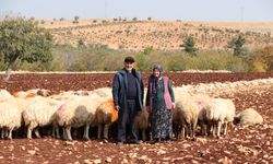 Belediyeden aldıkları destekle besici oldular