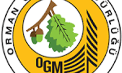 Personel Alımında Detaylar Belli Oldu