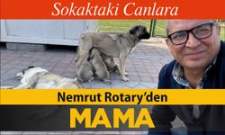 Nemrut Rotary’den “Sokaktaki Canlara” Mama