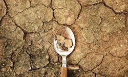 Kuraklık artıyor, toprak sağlığı azalıyor